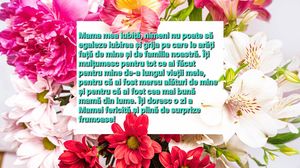 Ziua Internațională a Mamei 7 mai 2023. Mesaje, urări și poezii pentru mamele din lumea întreagă