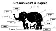 Test de inteligență! Câte animale poți să recunoști în imagine?