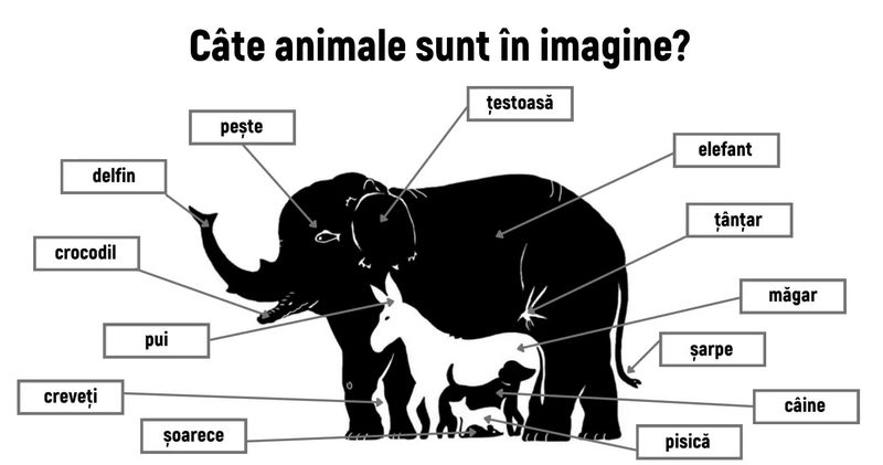Test de inteligență! Câte animale poți să recunoști în imagine?