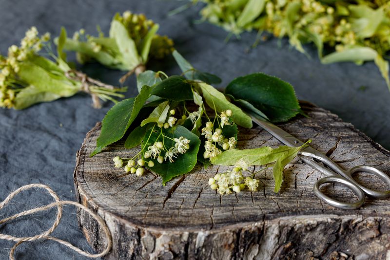 Ce NU ai voie să faci &icirc;n a doua zi de Rusalii 2023. Superstiții la sărbătoarea Sfintei Treimi