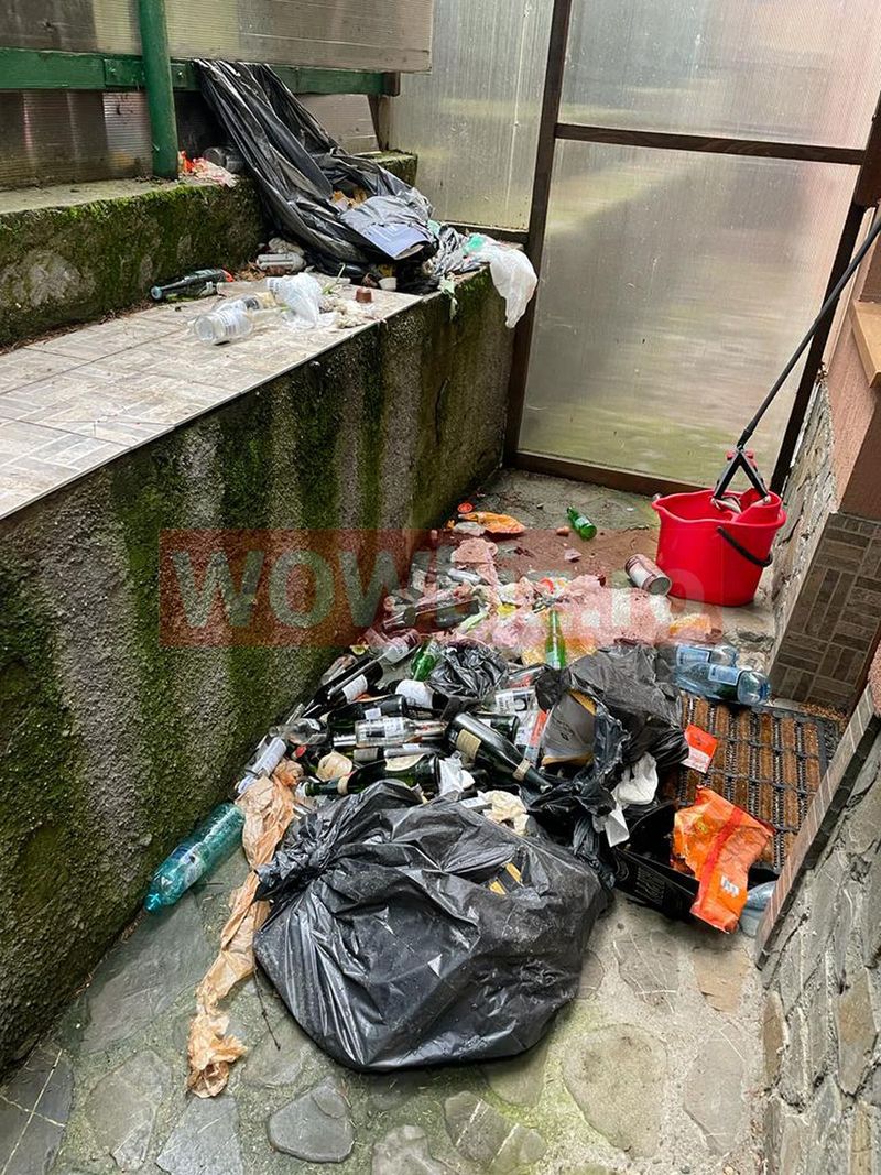 Pagubele provocate de urs &icirc;n casa medicului Felix Popescu de la Predeal