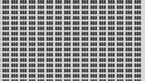 Test de inteligență! Poți să găsești numărul 808 din această imagine?