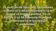 Urări de Sânziene 2023. Mesaje creștine la Nașterea Sfântului Ioan Botezătorul