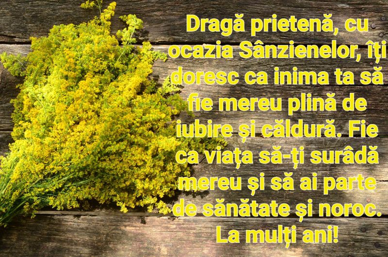 S&acirc;nziene 2023: Mesaje de La Mulți Ani