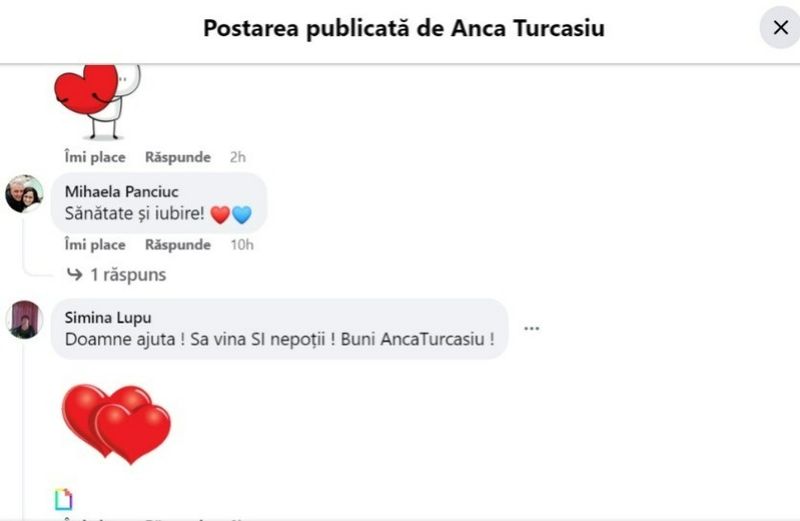 anca turcasiu, fiu, casatorie, bunica