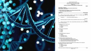 Subiecte profil real BAC 2023