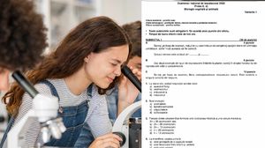 Bacalaureat 2023: Subiectele la Chimie, Biologie, Anatomie, Fizică și Informatică