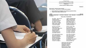 Bacalaureat 2023: Subiecte Limba Maternă