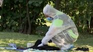 Imagini din locul în care adolescenta de 14 ani și iubitul ei au fost atacați