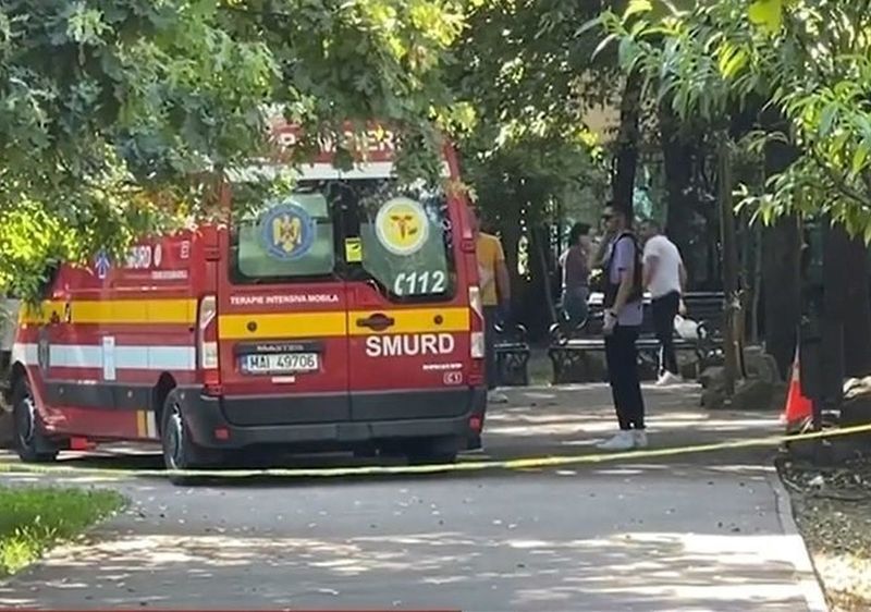 crima de la gradina botanica