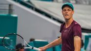 Wimbledon 2023. Ce meciuri vor avea loc în finala turneului de tenis