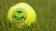 Wimbledon 2023. Ce meciuri vor avea loc în finala turneului de tenis