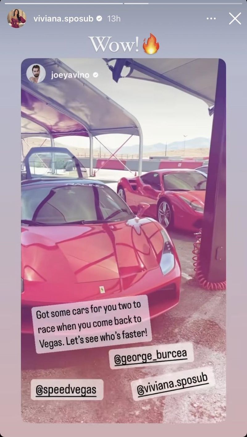 Ce a apărut pe contul de Instagram al Vivianei Sposub