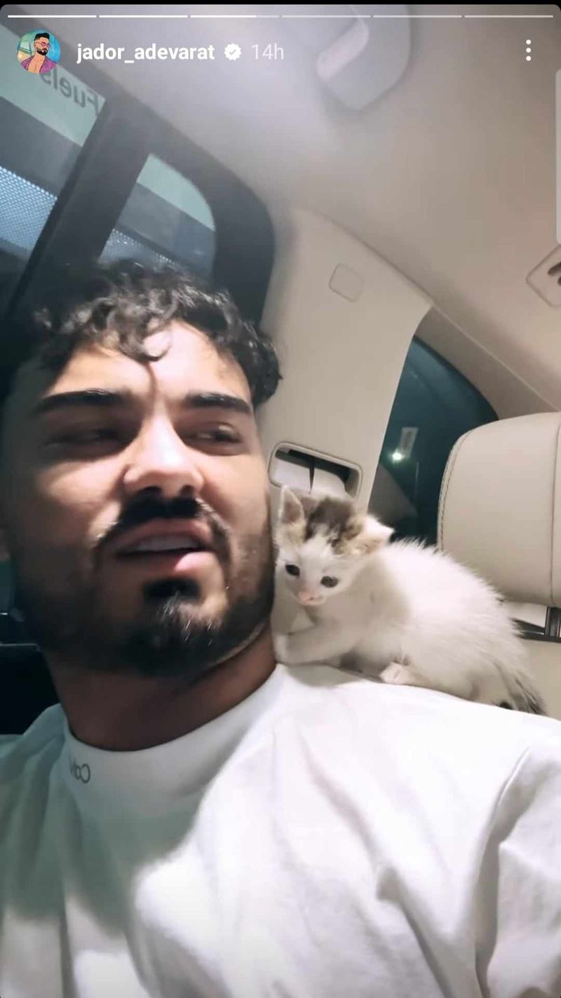 Jador a adoptat o pisică de pe stradă