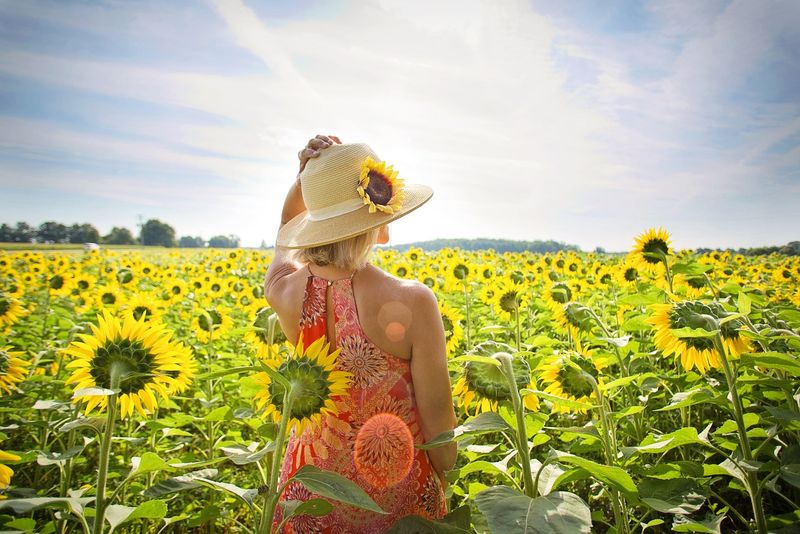 Horoscop zodia vedetă 9 august 2023