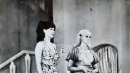 dem radulescu, paula radulescu, stela popescu, cristina stamate