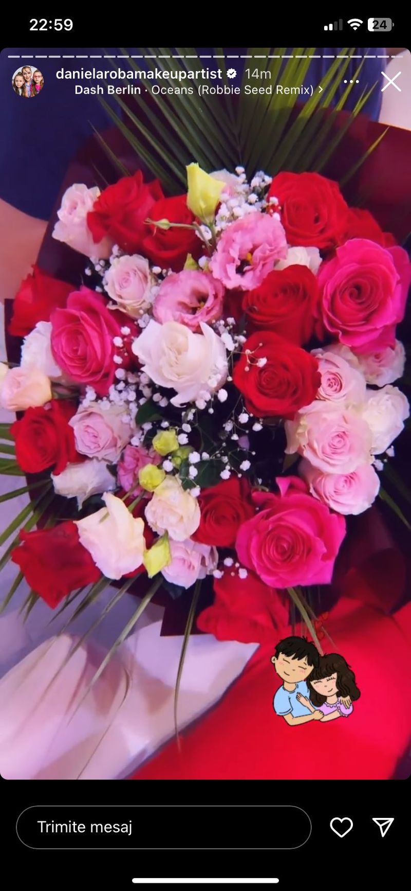 dana roba, iubit, imagini, gesturi tandre