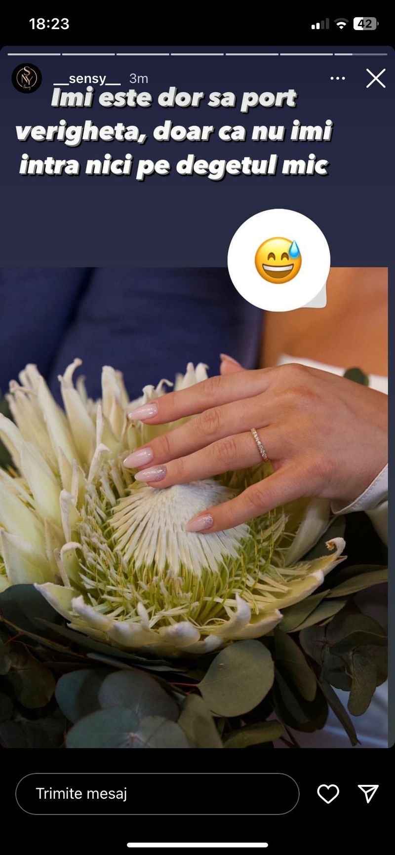 sensy, mamica, verigheta, declaratii