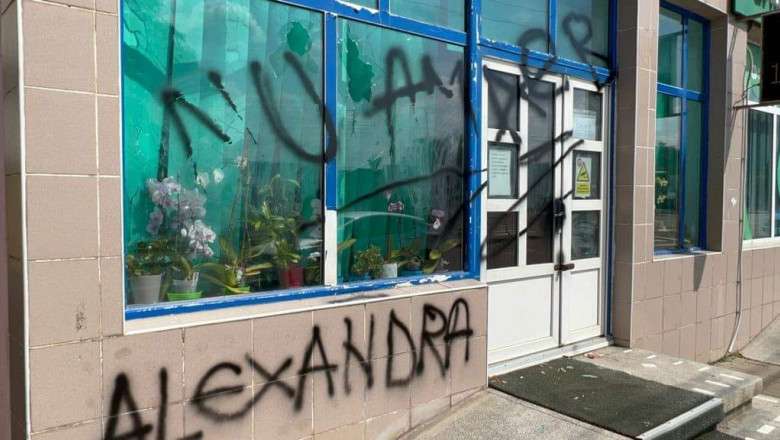 alexandra ivanov, caz botosani, gravida moarta, protest, spitalul din botoșani