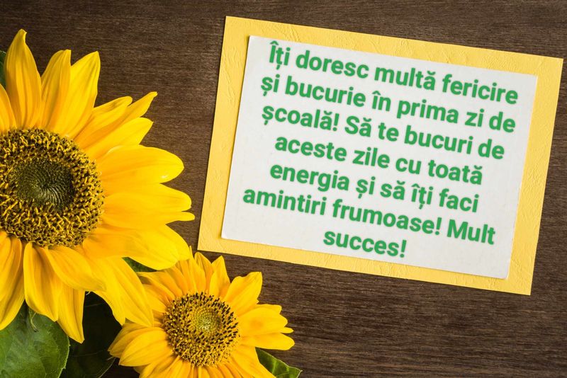 Mesaje pentru prima zi de școală 2023. Urări pentru profesori și elevi