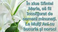 Felicitări de Sfânta Maria Mică 2023. Cum să le transmiți „La mulți ani”