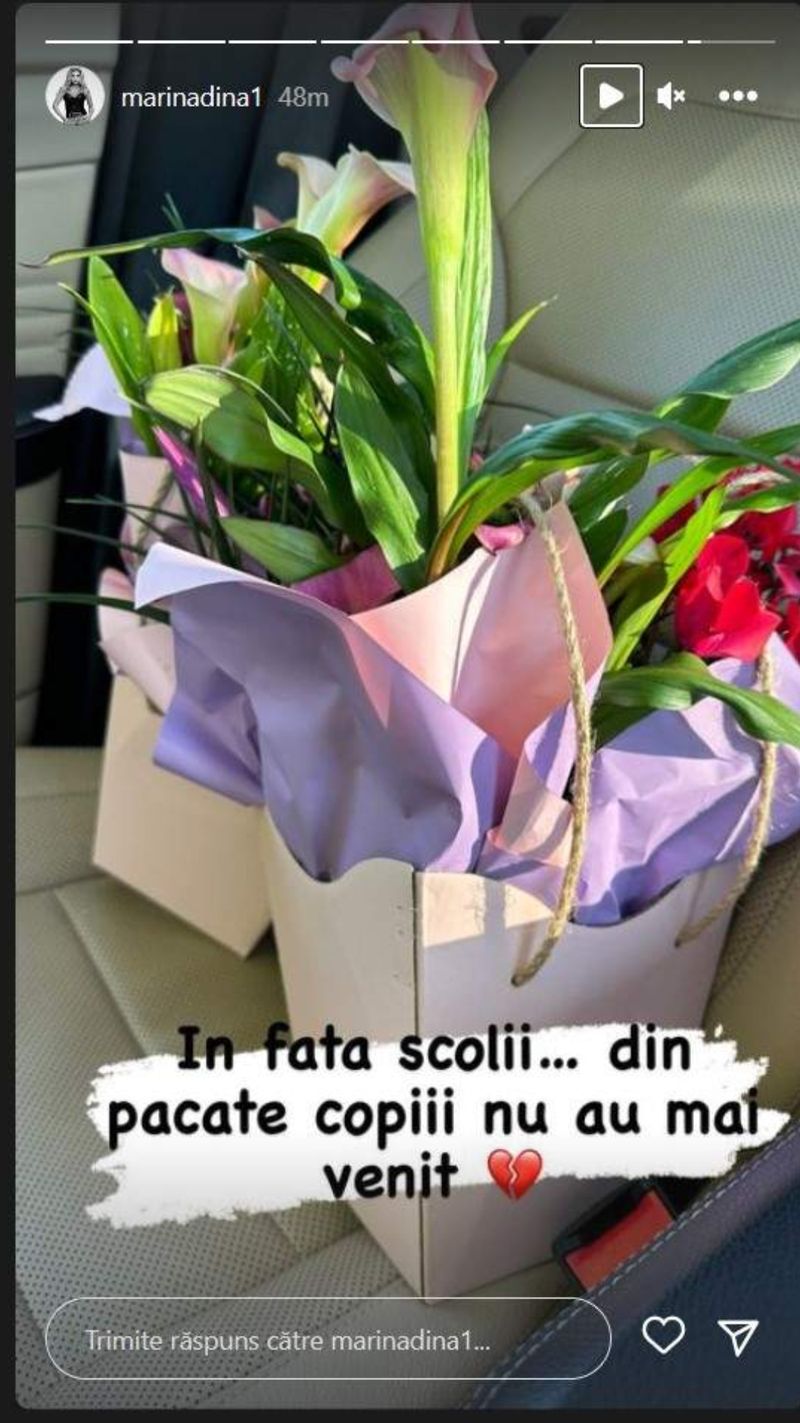 marina dina, copii, scoala, divort