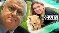 "Sportul nu este totul în viață". Ce mesaj i-a transmis Dumitru Dragomir Simonei Halep, imediat după ce a aflat că a fost suspendată pentru patru ani | EXCLUSIV