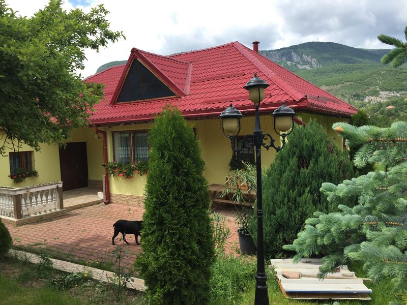 Sora lui Petrică Mîțu Stoian, în proces cu Doru Gușman pentru obiectele interpretului