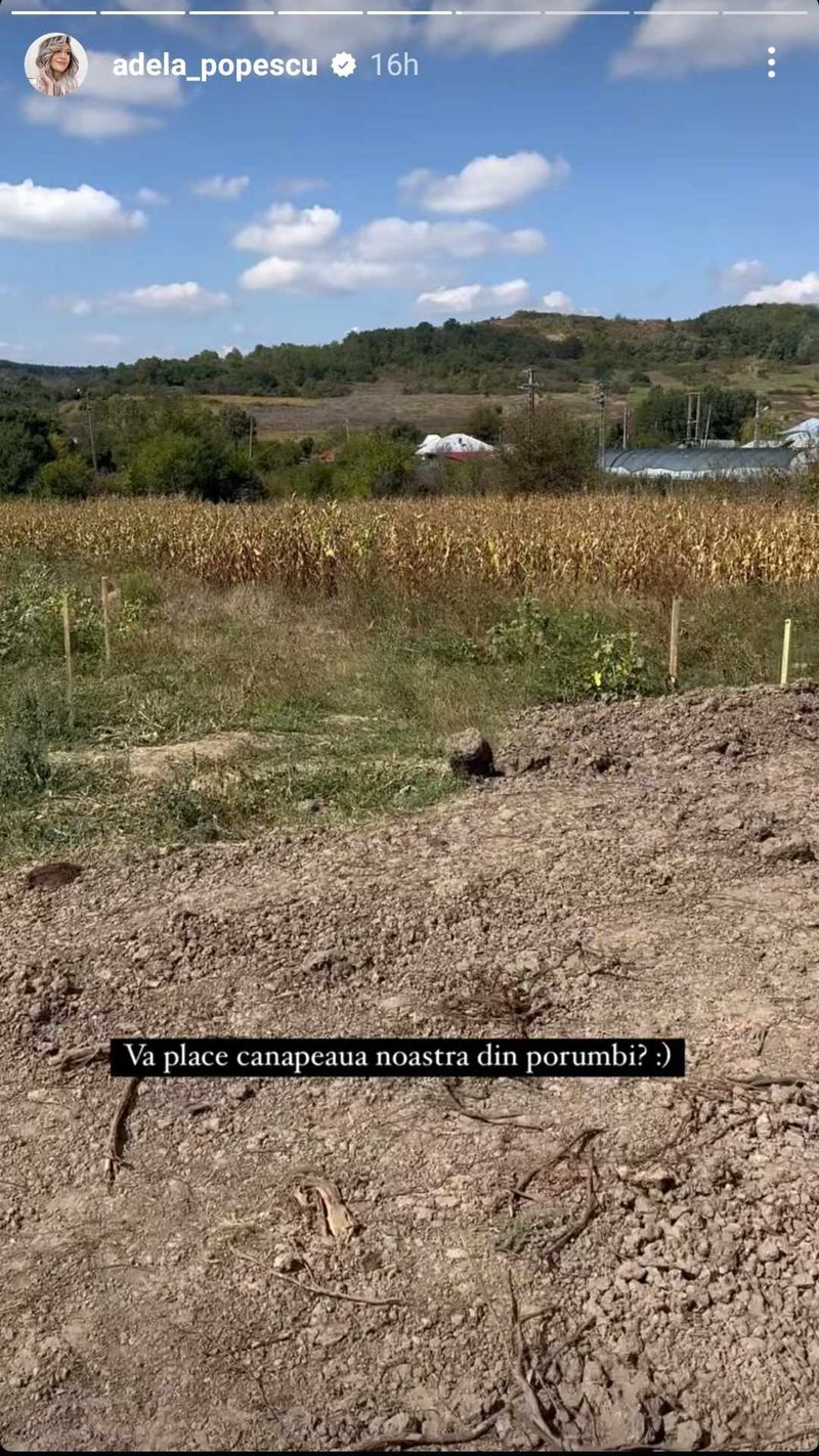 Adela Popescu și Radu Vâlcan își construiesc o casă de vis în Șușani