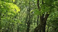 Explorarea interzisă Cele 3 locuri misterioase din lume pe care nu ar trebui să le vizitezi. Unul dintre ele se află în România
