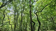 Explorarea interzisă Cele 3 locuri misterioase din lume pe care nu ar trebui să le vizitezi. Unul dintre ele se află în România