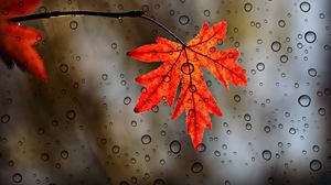 Prognoza meteo pentru primele două săptămâni ale lunii octombrie 2023. Vezi când încep să scadă temperaturile în țară