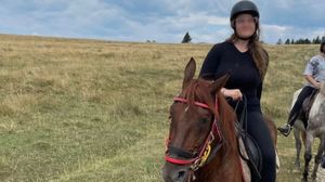 shara, detalii, declaratii, autoritati