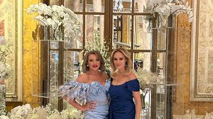 Mirela Vaida și Gabriela Firea, criticate în mediul online