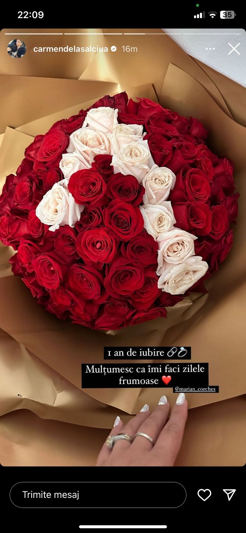 carmen de la salciua, sot, mesaj, dragoste