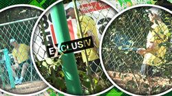 Vine frigul și Horațiu Mălăele nu se lasă! Nu poți să îl mai iei pe celebrul actor de pe terenul de tenis  | EXCLUSIV