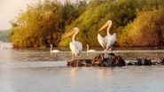 Destinații de toamnă pentru o escapadă de weekend. Vezi care sunt cele mai instagramabile locații din România