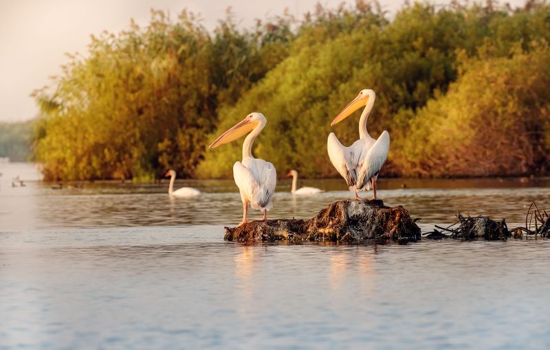 Destinații de toamnă pentru o escapadă de weekend. Vezi care sunt cele mai instagramabile locații din România