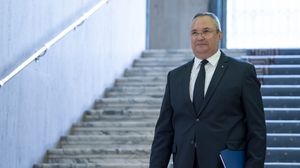 Cine e Cristina Maria Ciucă