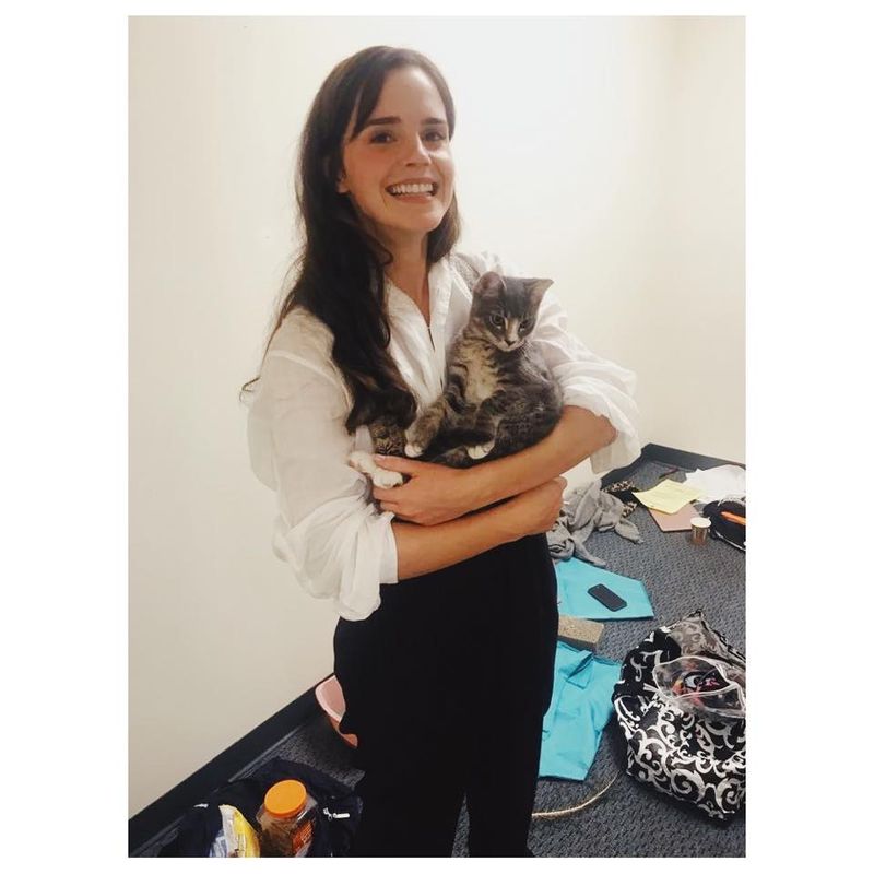 Top 10 vedete care au schimbat lumea. Printre ele se află și Angelina Jolie