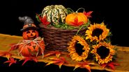 Halloween 2023: Cum să-ți decorezi casa pentru Halloween: Sfaturi și trucuri de la experții în domeniu