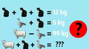 test inteligență, test de evaluare a cunosștințelor, test iq, quiz