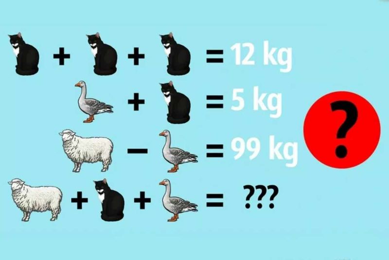 test inteligență, test de evaluare a cunosștințelor, test iq, quiz