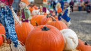 Ce poți face de Halloween 2023 în București