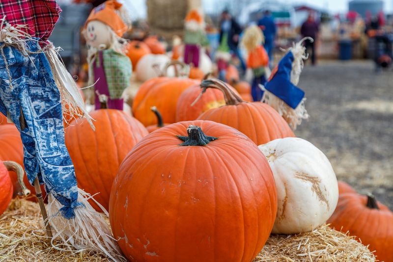 Ce poți face de Halloween 2023 în București