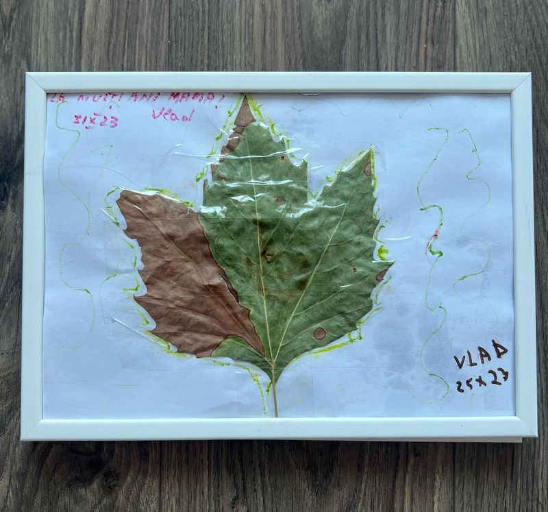 simona gherghe, simona gherghe familie, simona gherghe varsta, simona gherghe copii