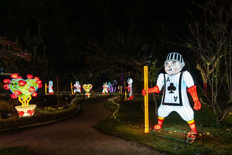Expoziție iluminată la Grădina Botanică din București