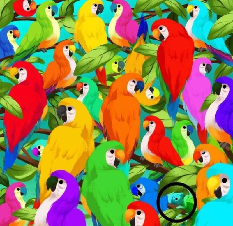 iluzie optică, iluzia care &icirc;ți testează inteligența, iluzia la care puțini știu să răspundă, iluzie optică papagali