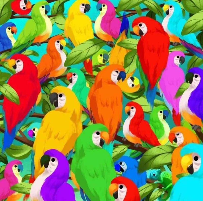 iluzie optică, iluzia care &icirc;ți testează inteligența, iluzia la care puțini știu să răspundă, iluzie optică papagali