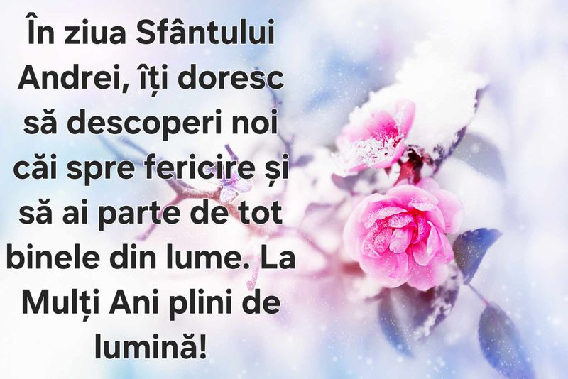 felicitare, sfantul andrei mesaj